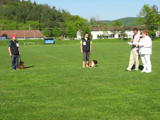www.atibox.net * www.euroboxer.eu * www.boxergenealogia.eu
